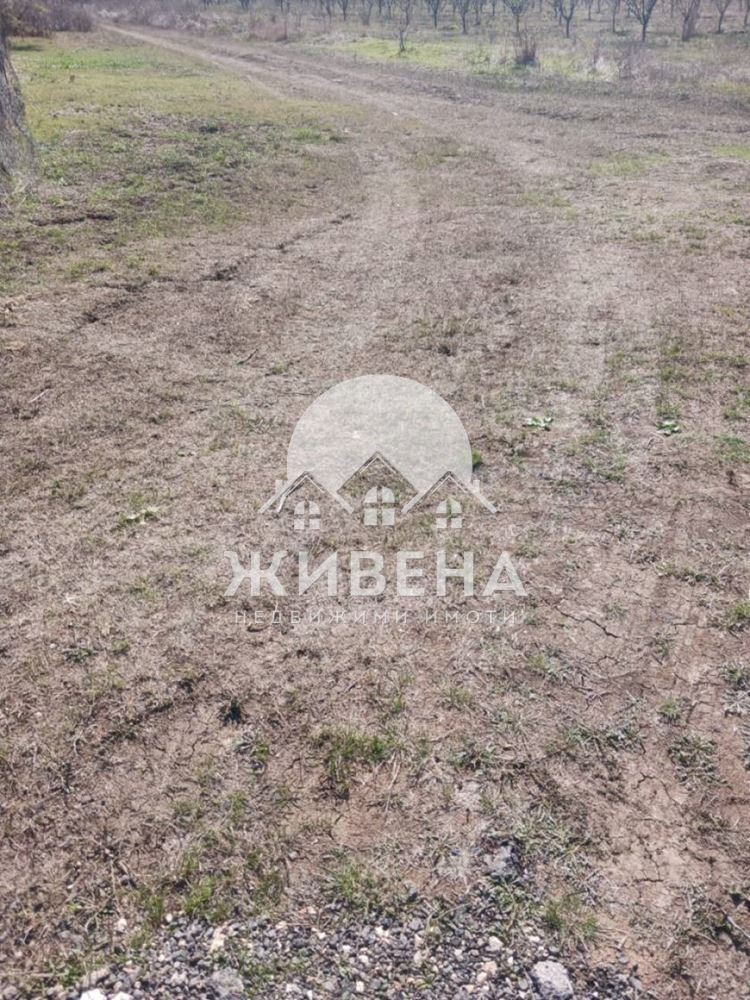 На продаж  Сюжет область Добрич , Камен бряг , 5602 кв.м | 61840669 - зображення [9]