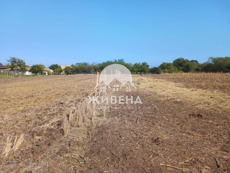 На продаж  Сюжет область Добрич , Камен бряг , 5602 кв.м | 61840669 - зображення [5]