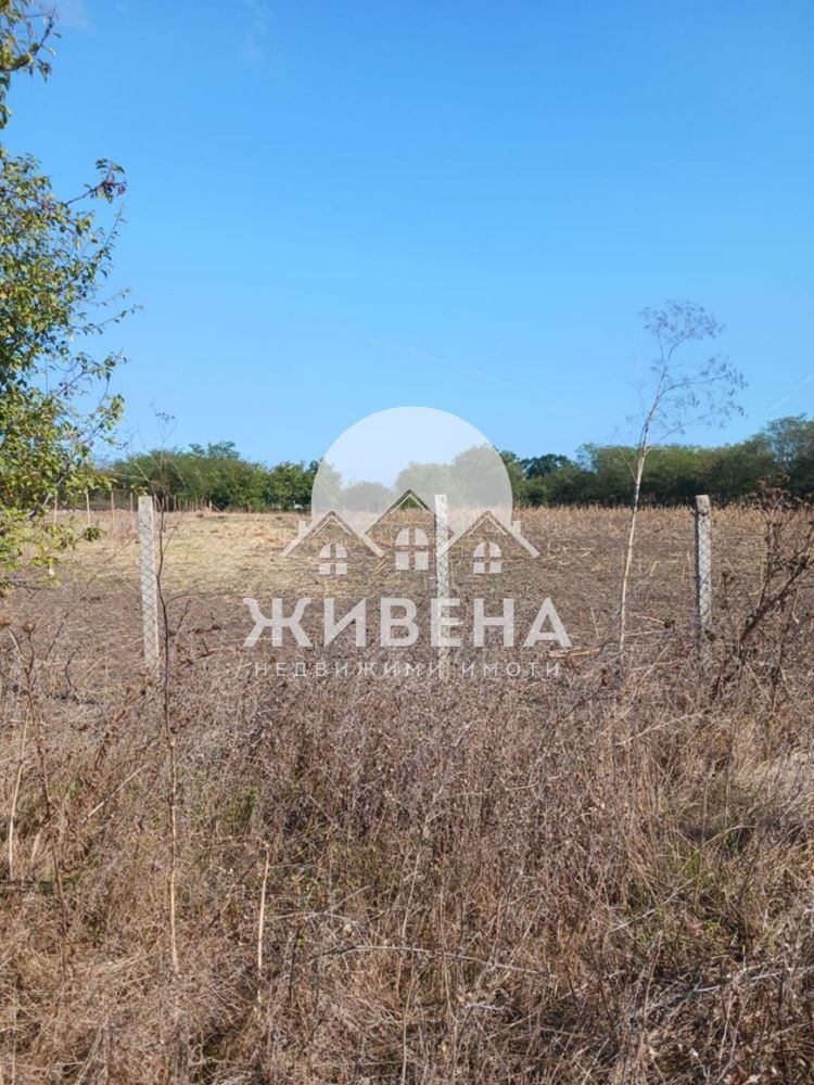 На продаж  Сюжет область Добрич , Камен бряг , 5602 кв.м | 61840669 - зображення [12]