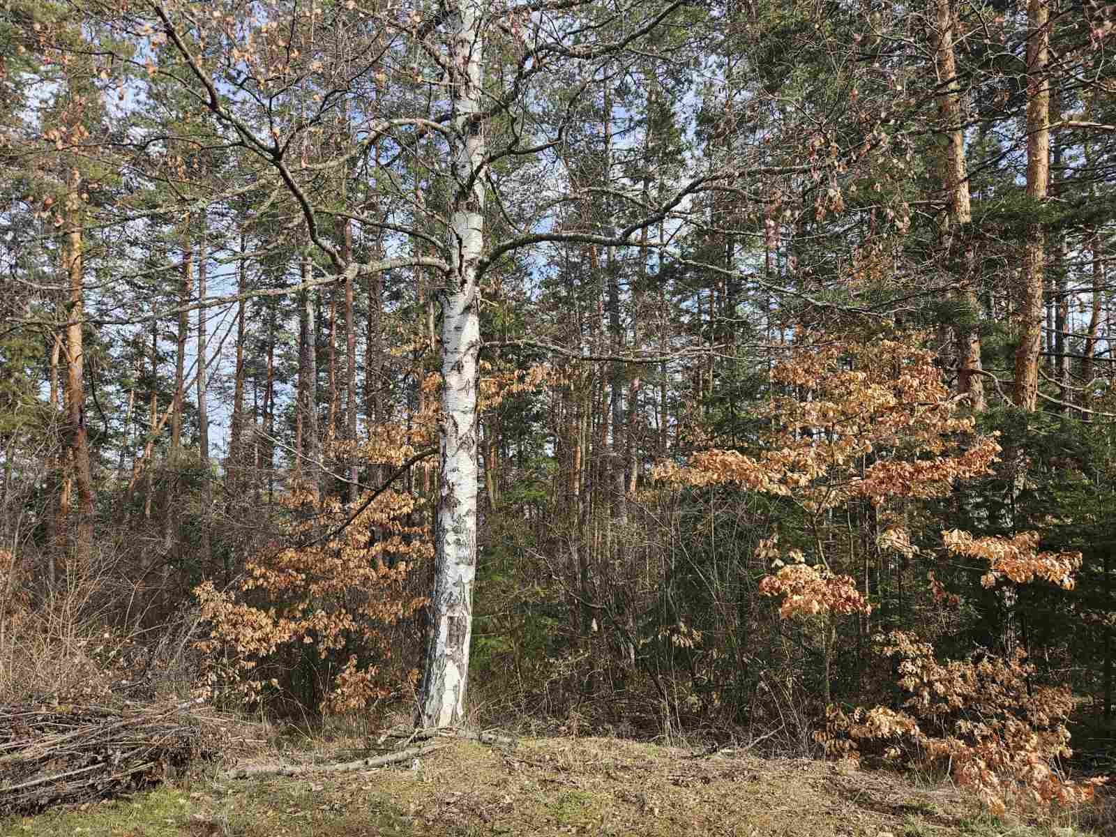 Продава ПАРЦЕЛ, гр. София, м-т Щъркелово гнездо, снимка 2 - Парцели - 53474501
