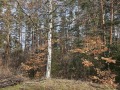 Продава ПАРЦЕЛ, гр. София, м-т Щъркелово гнездо, снимка 2