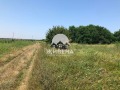 Продава ПАРЦЕЛ, област Добрич, с. Камен бряг • 69000 € / 134952.27 лв. • 35687462 7