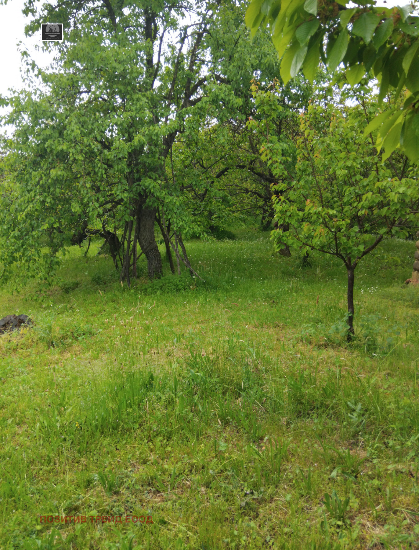 ������� ���� | Imot.bg � ����������� 8