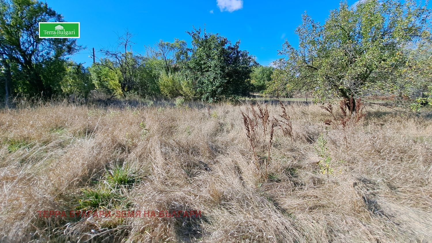 ������� ������ | Imot.bg � ����������� 3