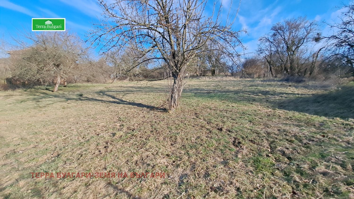 ������� ������ | Imot.bg � ����������� 2