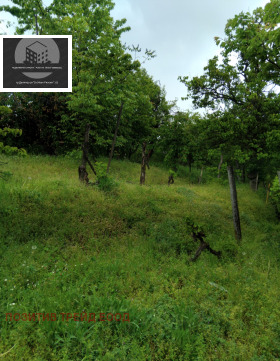 ������� ���� | Imot.bg � ����� ������ 9