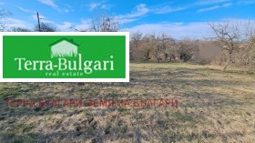 ����� ������� ������,�. ���������, ������ ������