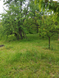 Продава КЪЩА, с. Згурово, област Кюстендил, снимка 8