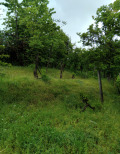 Продава КЪЩА, с. Згурово, област Кюстендил, снимка 9
