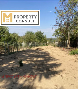 ����� ������� ����,���� ������, �-� ��������