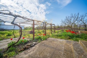 ������� ���� | Imot.bg � ����� ������ 16