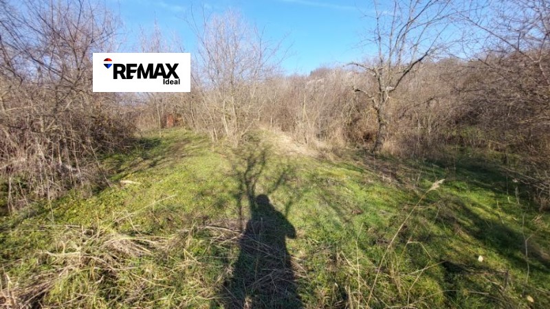 Продава ВИЛА, гр. Варна, м-т Планова, снимка 11 - Вили - 53379679