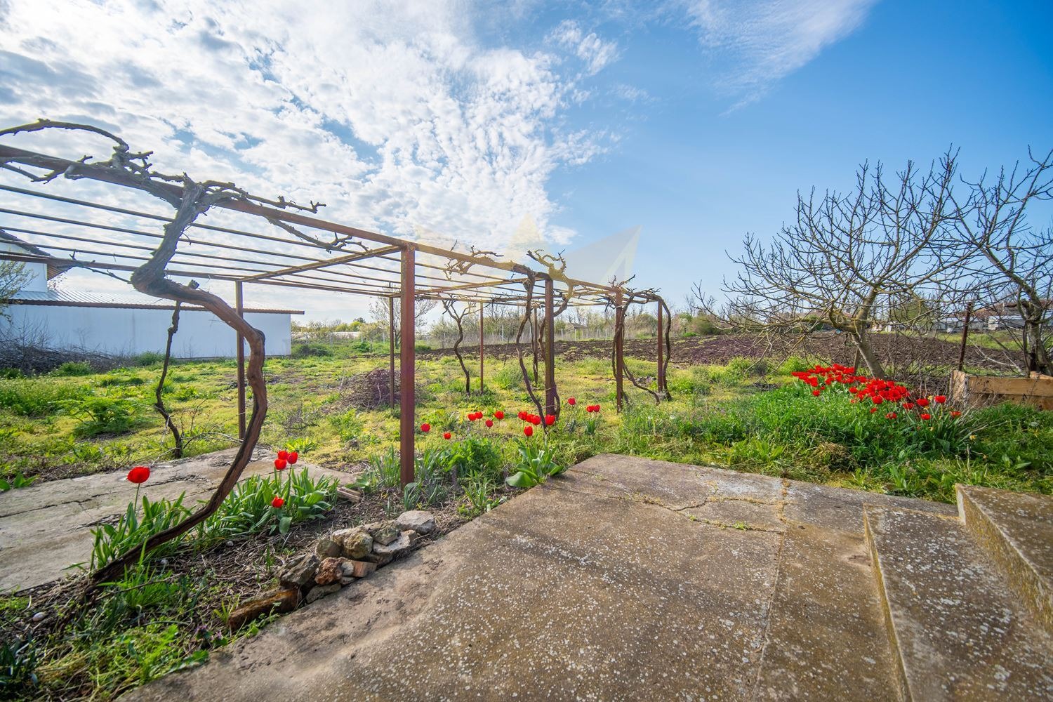 Продава КЪЩА, с. Селце, област Добрич, снимка 16 - Къщи - 54268465