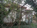 Продава КЪЩА, област Бургас, с. Терзийско • 23000 € / 44984.09 лв. • 12363373 12