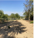 Продава  Къща град Плевен , м-т Стражата , 23 кв.м | 68702964