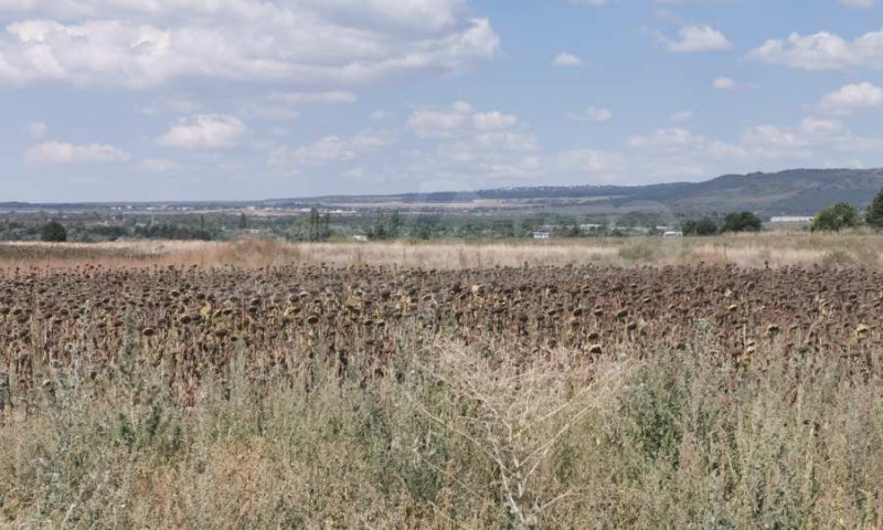 For Sale  Plot region Varna , Ignatievo , 5720 sq.m | 82177944 - image [4]
