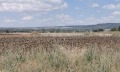 Продава ПАРЦЕЛ, област Варна, гр. Игнатиево • 188800 € • 71982916 — Holmes.bg