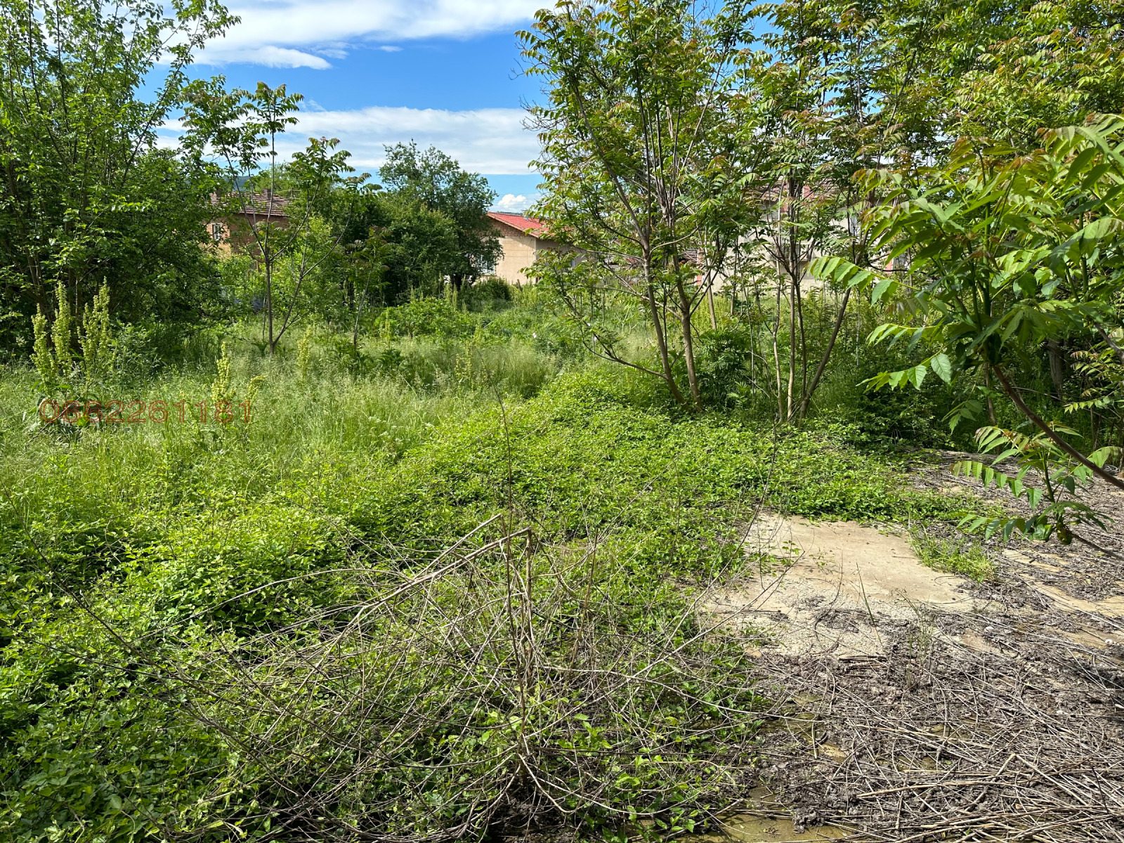 ������� ���� | Imot.bg � ����������� 15