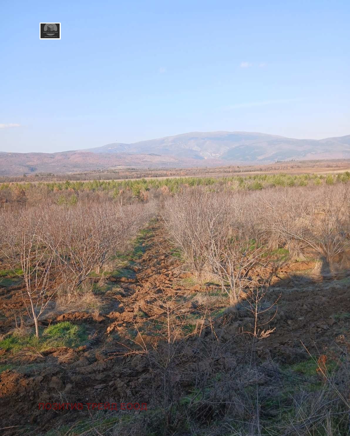 ������� ���������� ���� | Imot.bg � ����������� 5