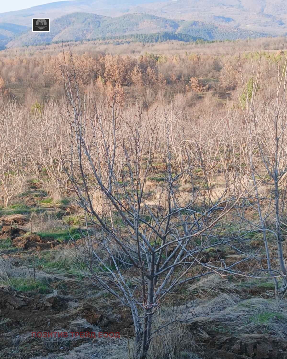 ������� ���������� ���� | Imot.bg � ����������� 4