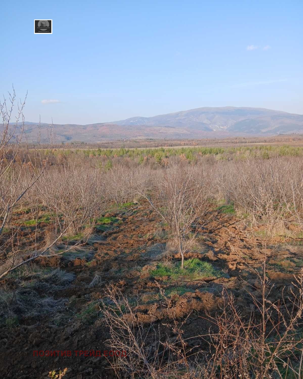 ������� ���������� ���� | Imot.bg � ����������� 1