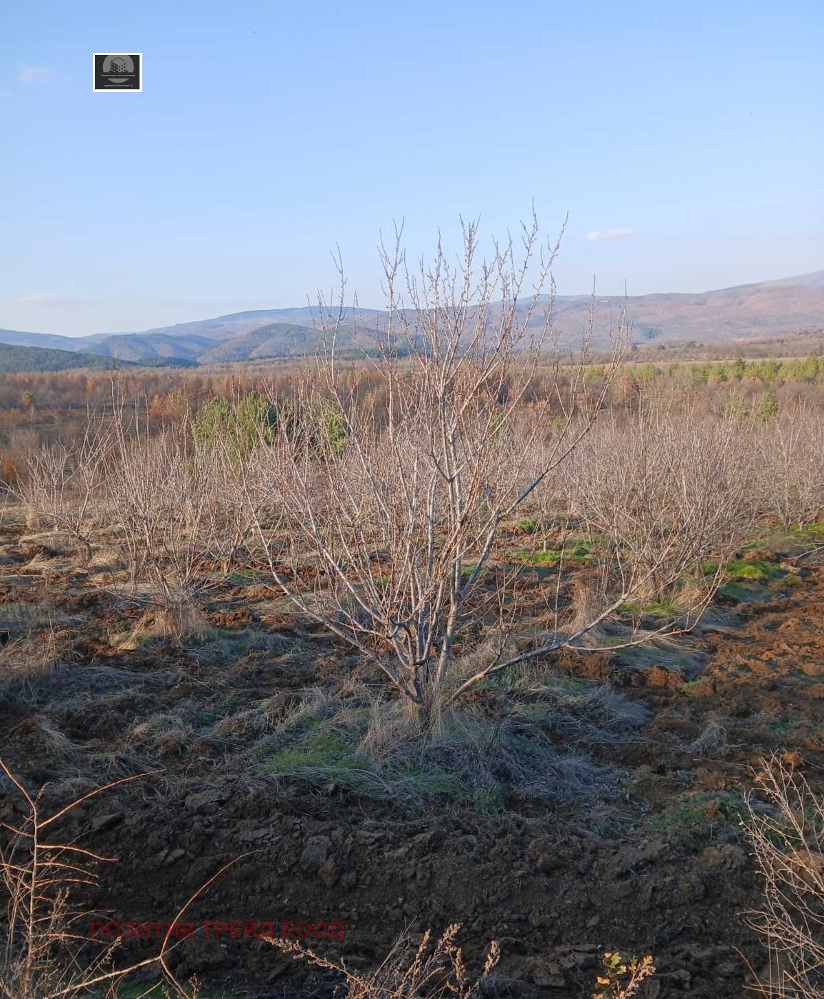 ������� ���������� ���� | Imot.bg � ����������� 2