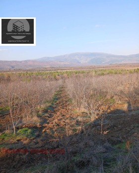 ������� ���������� ���� | Imot.bg � ����� ������ 5