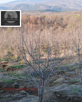 ������� ���������� ���� | Imot.bg � ����� ������ 4