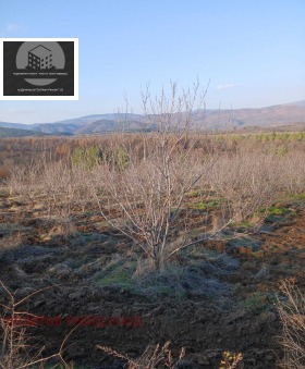 ������� ���������� ���� | Imot.bg � ����� ������ 2