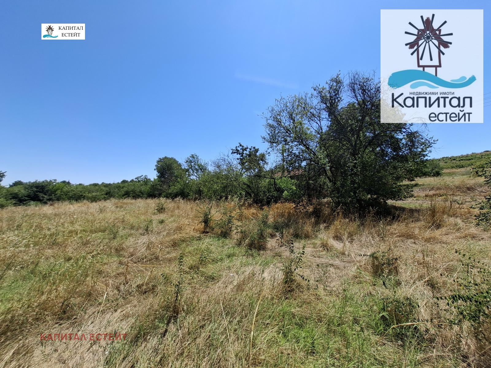 ������� ������ | Imot.bg � ����������� 8