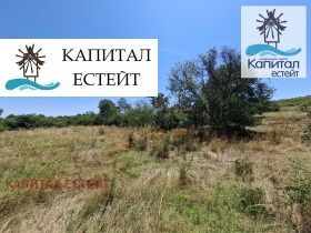 ������� ������ | Imot.bg � ����� ������ 8