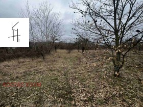 ������� ������ | Imot.bg � ����� ������ 5