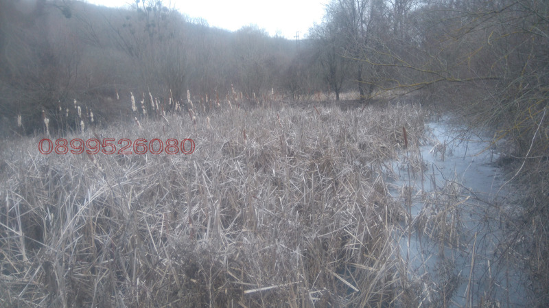 Продава ЗЕМЕДЕЛСКА ЗЕМЯ, гр. Аксаково, област Варна, снимка 9 - Земеделска земя - 52786156