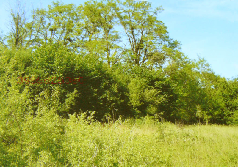 Продава ЗЕМЕДЕЛСКА ЗЕМЯ, гр. Аксаково, област Варна, снимка 4 - Земеделска земя - 52786156