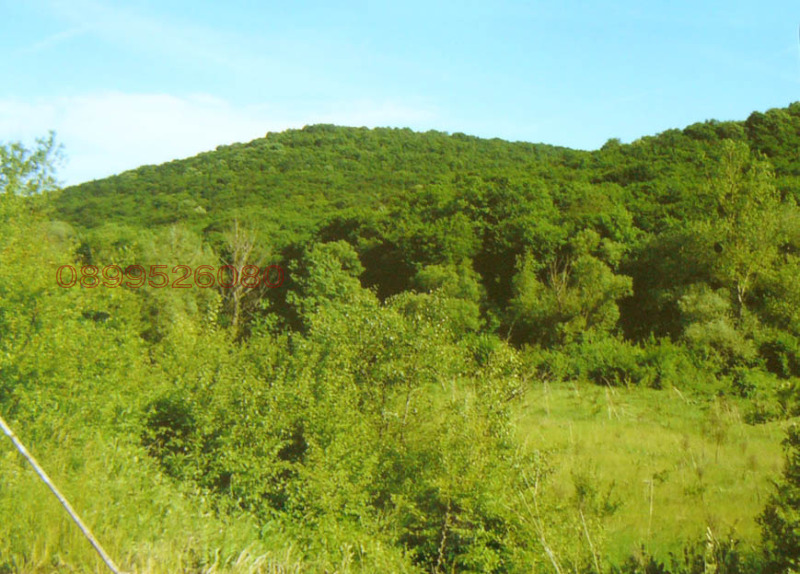 Продава ЗЕМЕДЕЛСКА ЗЕМЯ, гр. Аксаково, област Варна, снимка 3 - Земеделска земя - 52786156