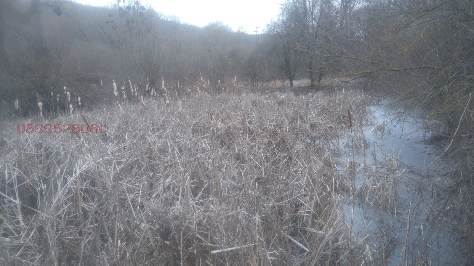 Продава ЗЕМЕДЕЛСКА ЗЕМЯ, гр. Аксаково, област Варна, снимка 9 - Земеделска земя - 53959340