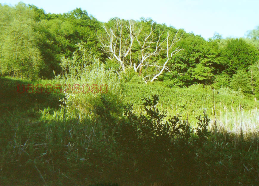 Продава ЗЕМЕДЕЛСКА ЗЕМЯ, гр. Аксаково, област Варна, снимка 5 - Земеделска земя - 53959340