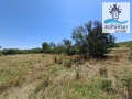 Продава  Парцел област Сливен , с. Полско Пъдарево , 3170 кв.м | 28054982 - изображение [8]