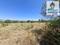 Продава  Парцел област Сливен , с. Полско Пъдарево , 3170 кв.м | 28054982 - изображение [3]