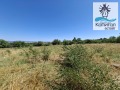 Продава  Парцел област Сливен , с. Полско Пъдарево , 3170 кв.м | 28054982 - изображение [7]