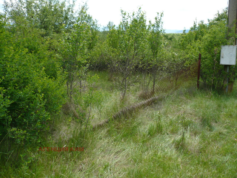 Zu verkaufen  Villa region Pernik , Kalishte , 70 qm | 97848336 - Bild [2]