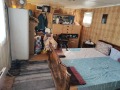 Продава  Парцел област Варна , с. Доброглед , 600 кв.м | 43946675 - изображение [6]