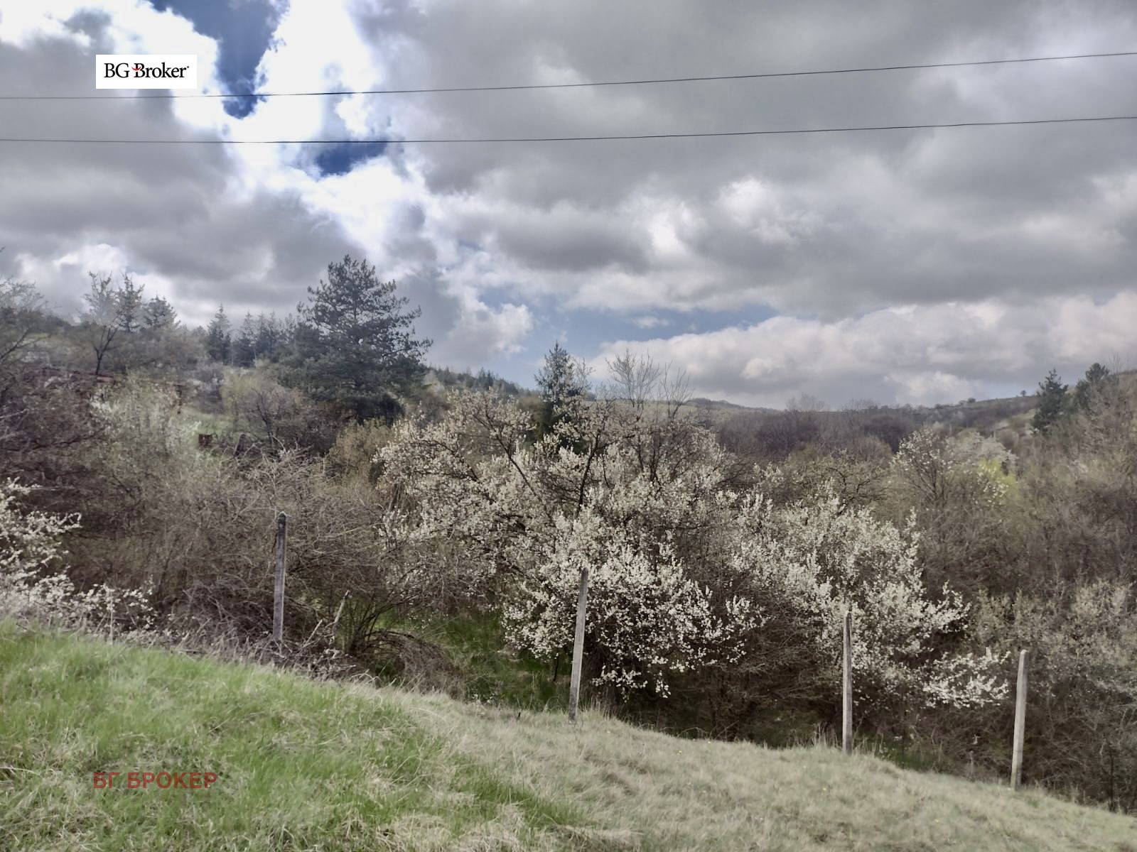 ������� ������ | Imot.bg � ����������� 8