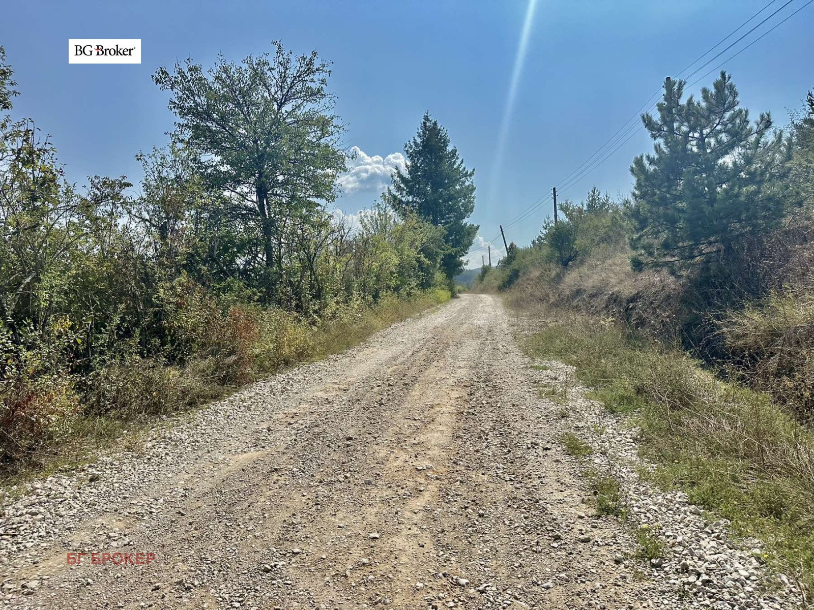 ������� ������ | Imot.bg � ����������� 12