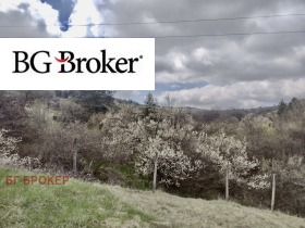 ������� ������ | Imot.bg � ����� ������ 8