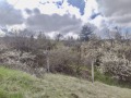 Продава ПАРЦЕЛ, с. Клисура, област София област, снимка 6