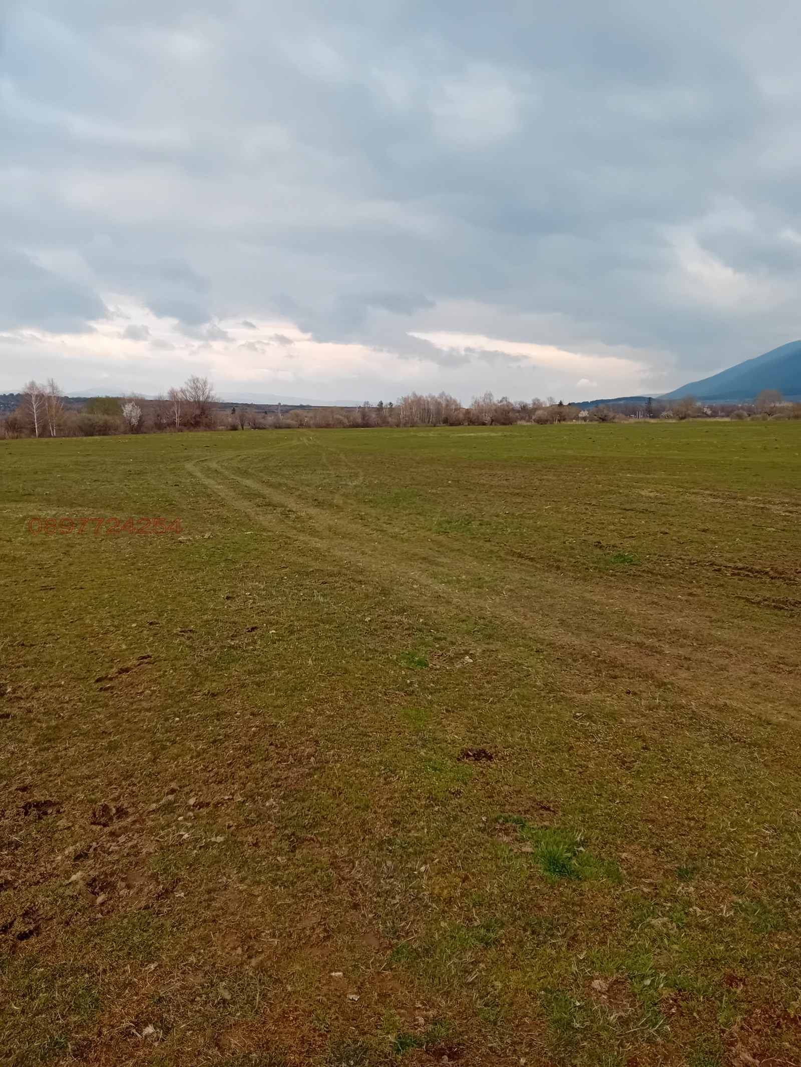 ������� ������ | Imot.bg � ����������� 6