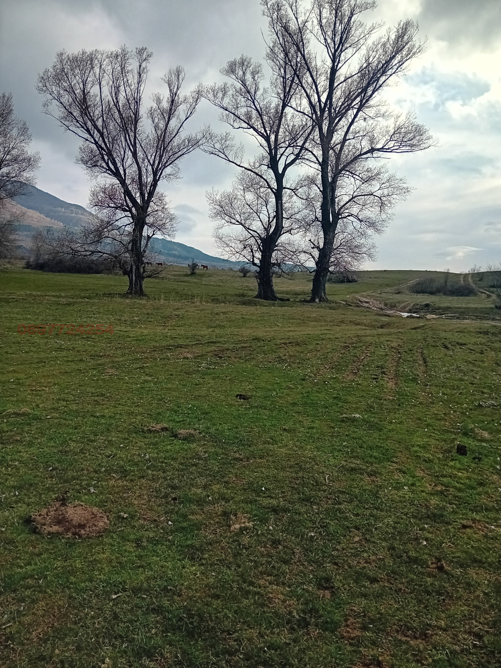 ������� ������ | Imot.bg � ����������� 5