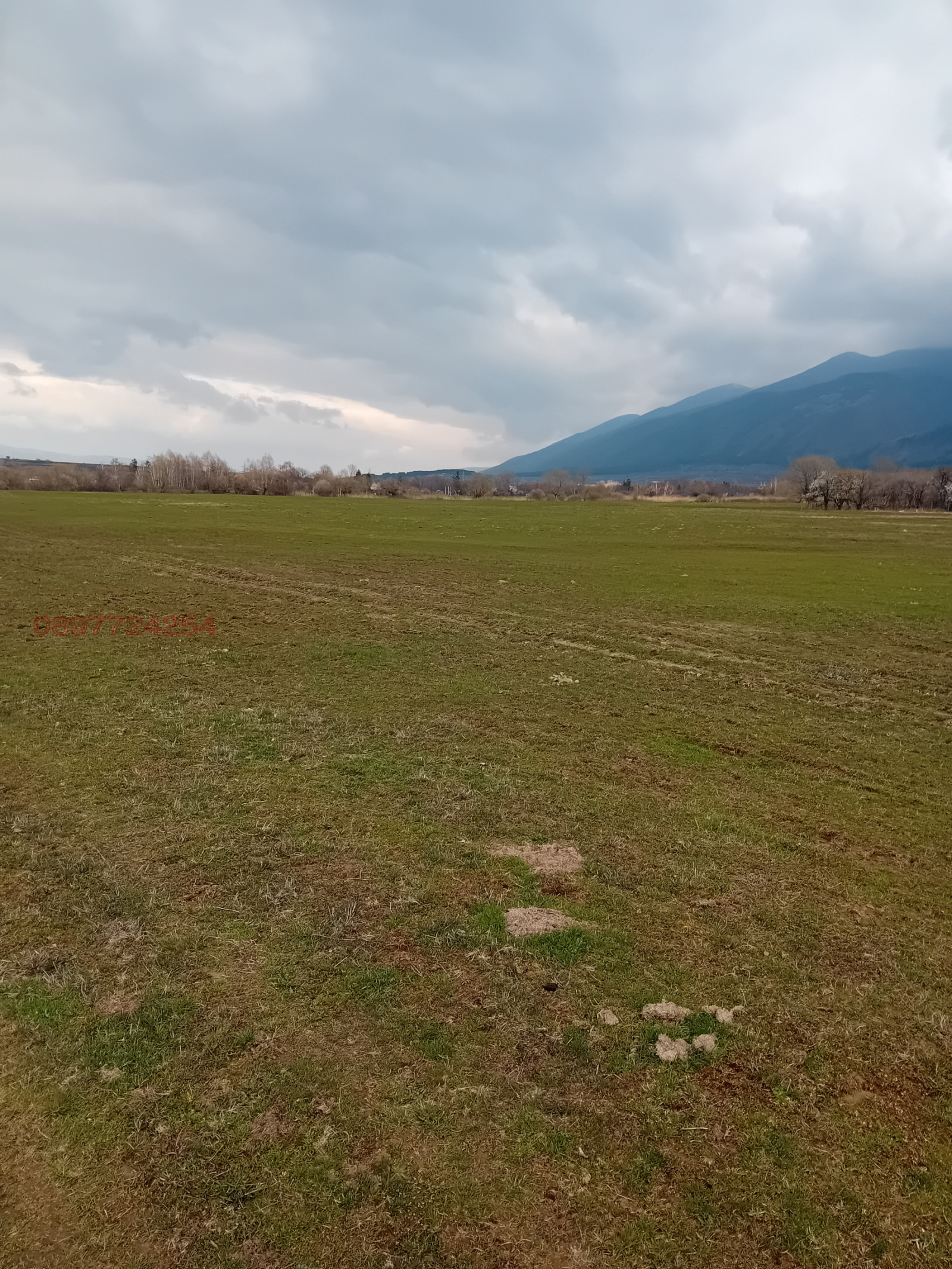 ������� ������ | Imot.bg � ����������� 9