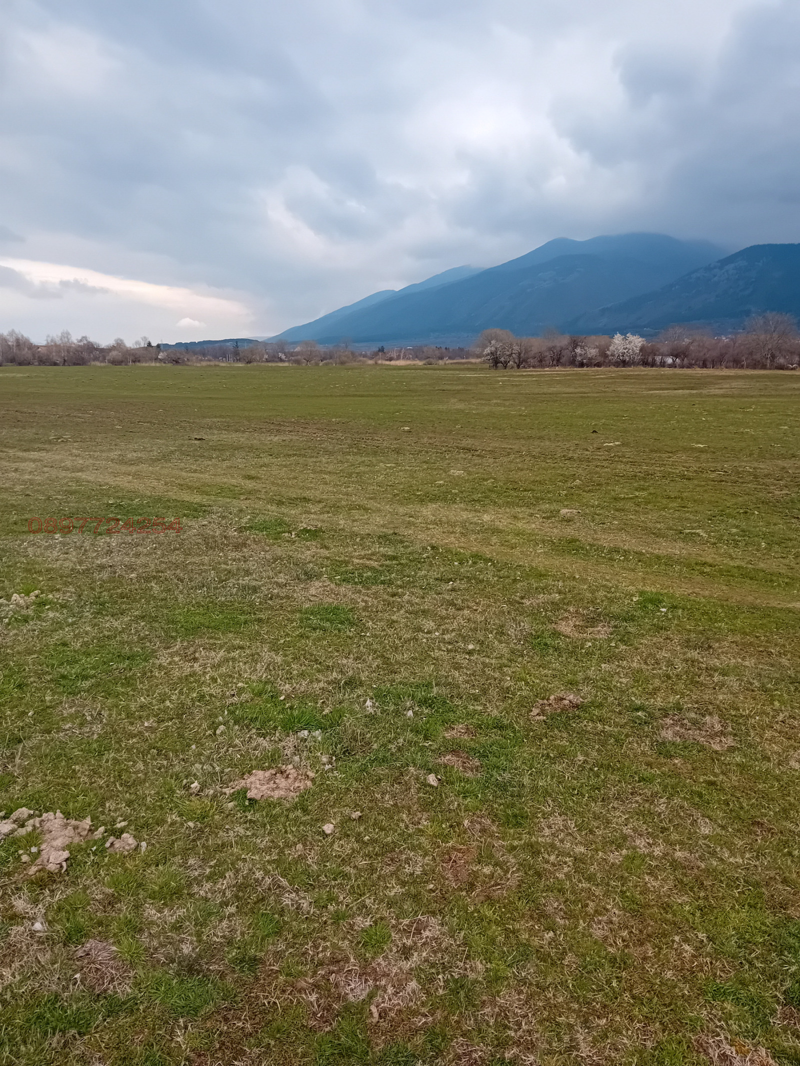 ������� ������ | Imot.bg � ����������� 3